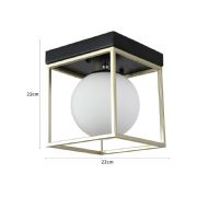 Plafon Cubo Globo 1xE27