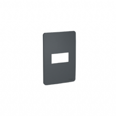 Placa 4x2 Orion 1 Posto Schneider