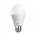 Lâmpada LED A60 Ence 12W E27 G-Light