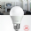 Lâmpada LED A60 Ence 9W E27 G-Light